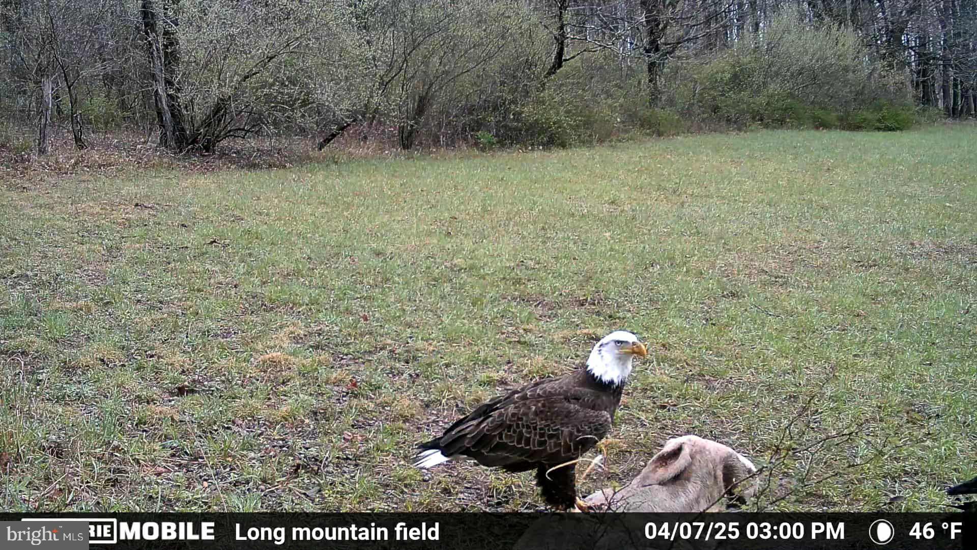 21205 Long Mountain Road Southwest Westernport, MD 21562 - Photo 142 of 142