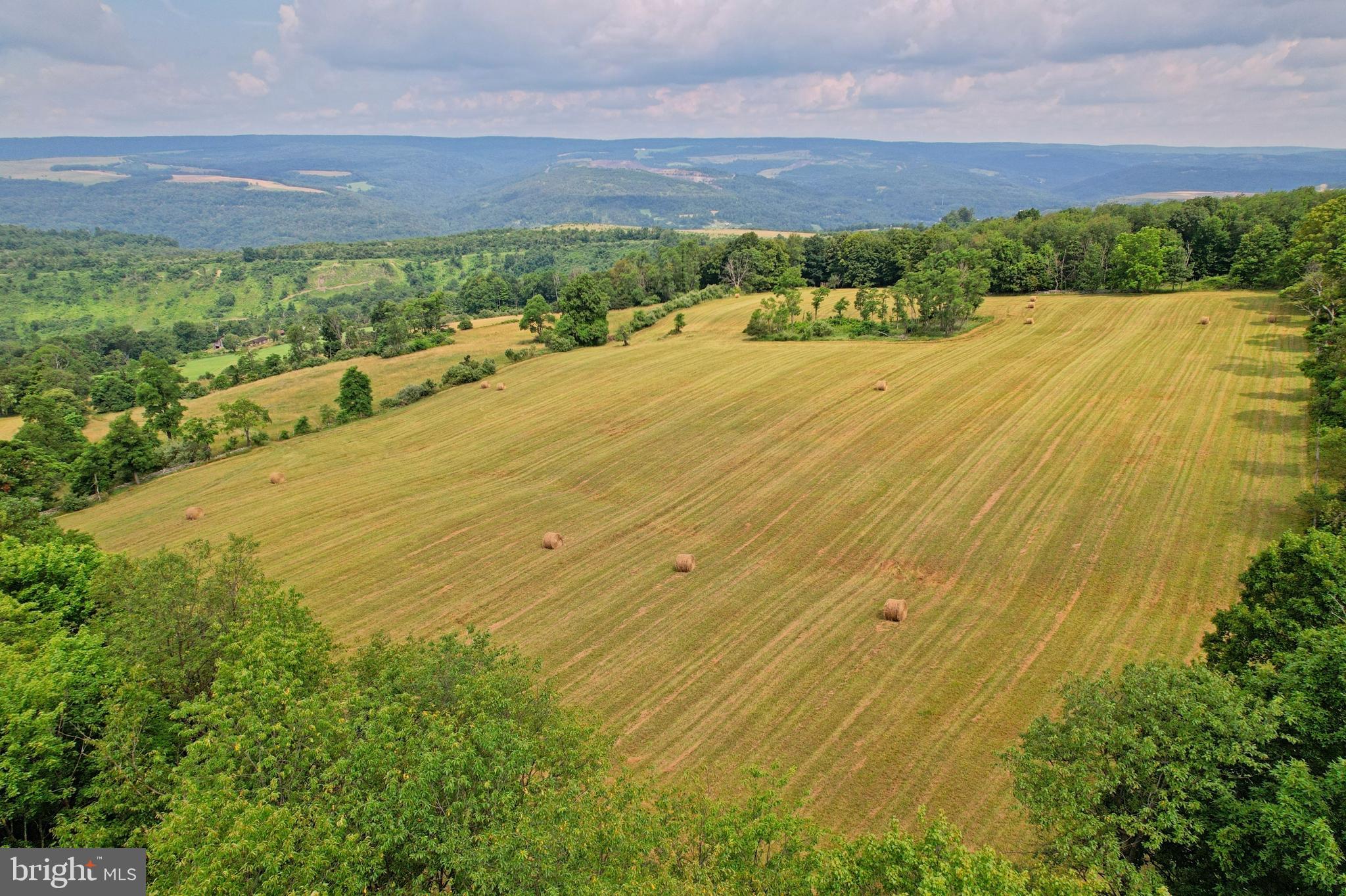 21205 Long Mountain Road Southwest Westernport, MD 21562 - Photo 15 of 142