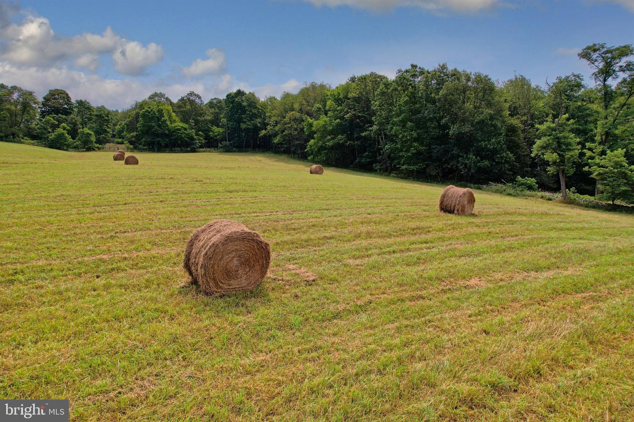 21205 Long Mountain Road Southwest Westernport, MD 21562 - Photo 16 of 142