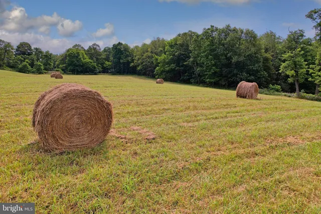 $780,000 | 21205 Long Mountain Road Southwest, Westernport, MD 21562