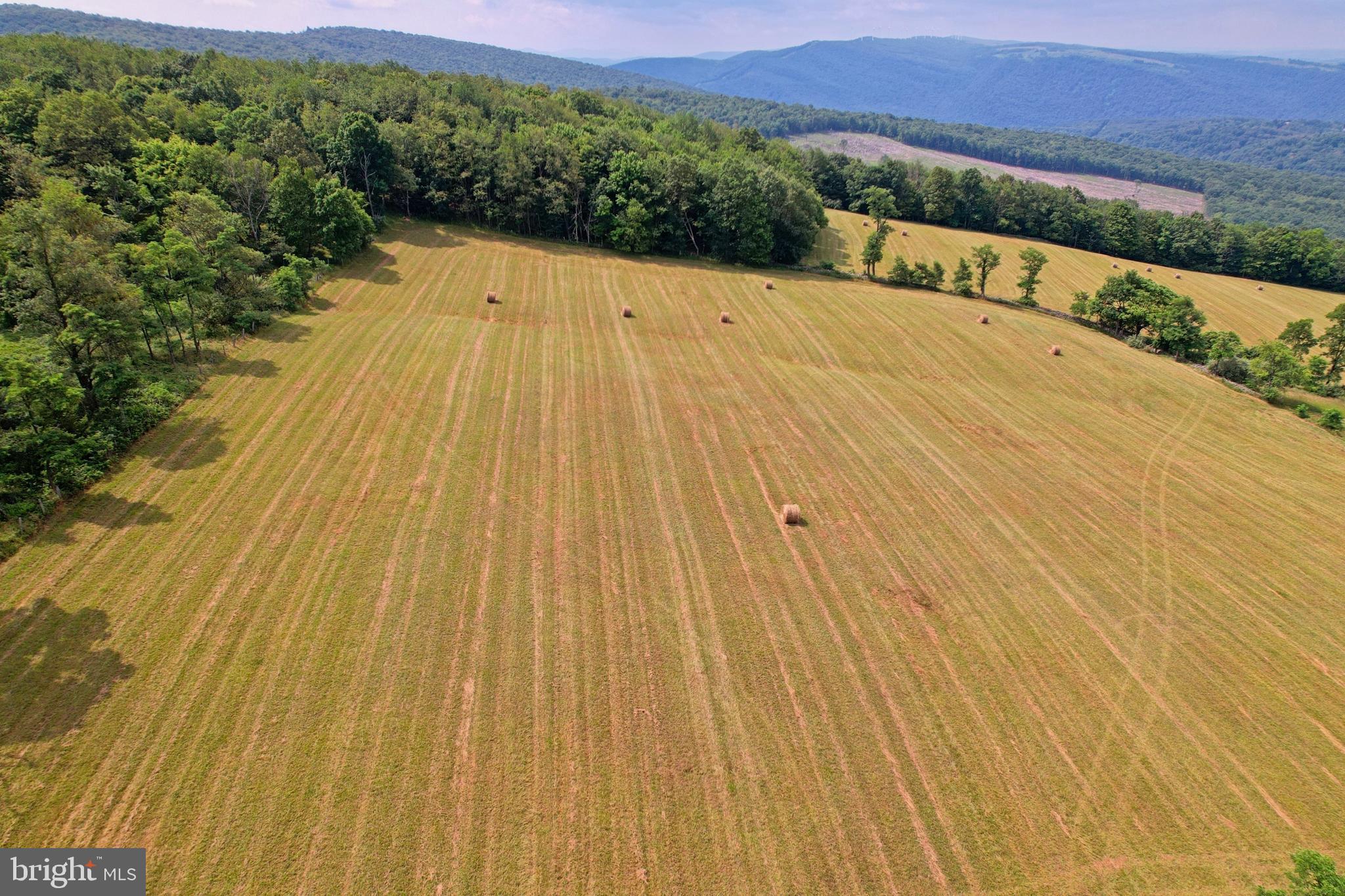 21205 Long Mountain Road Southwest Westernport, MD 21562 - Photo 23 of 142