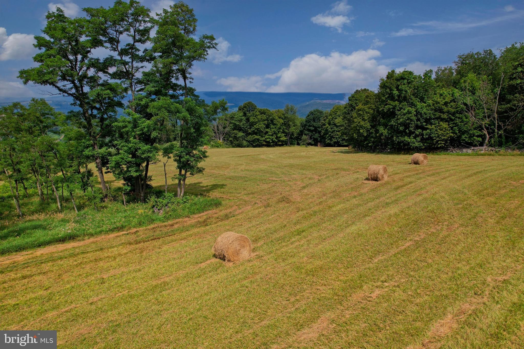 21205 Long Mountain Road Southwest Westernport, MD 21562 - Photo 24 of 142