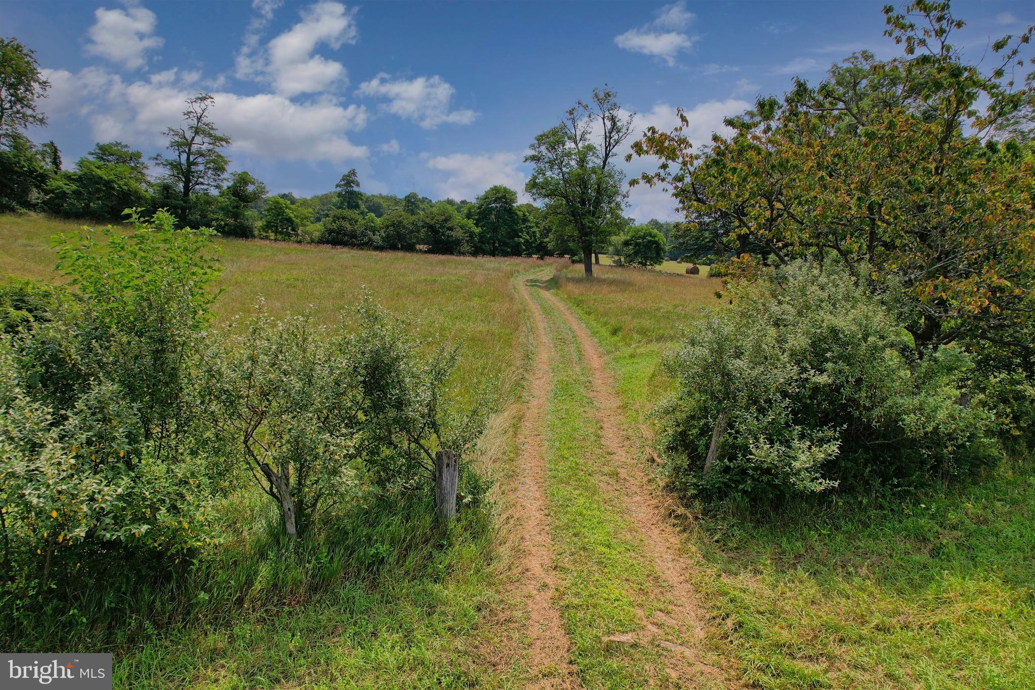 21205 Long Mountain Road Southwest Westernport, MD 21562 - Photo 26 of 142