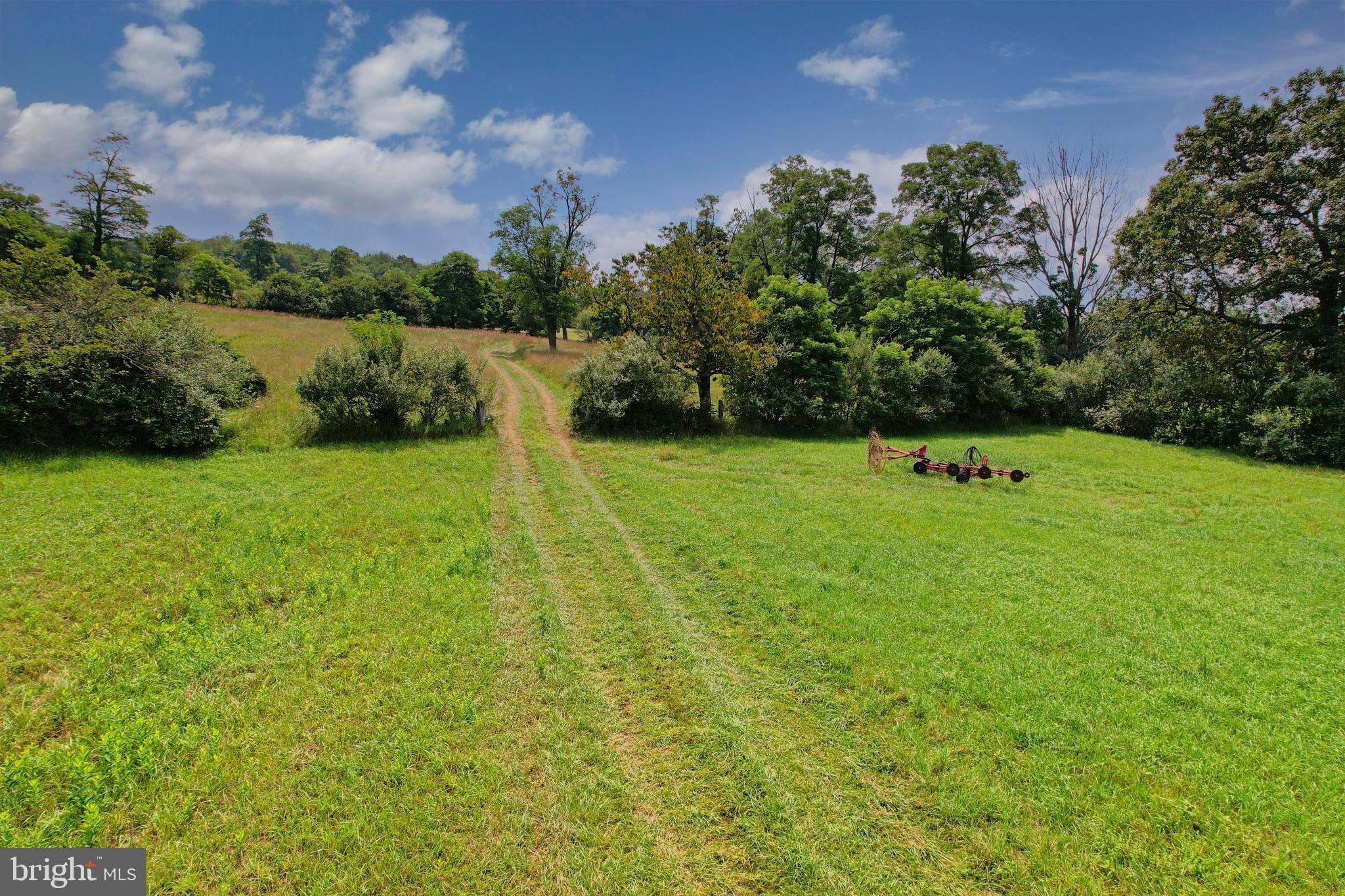 21205 Long Mountain Road Southwest Westernport, MD 21562 - Photo 28 of 142