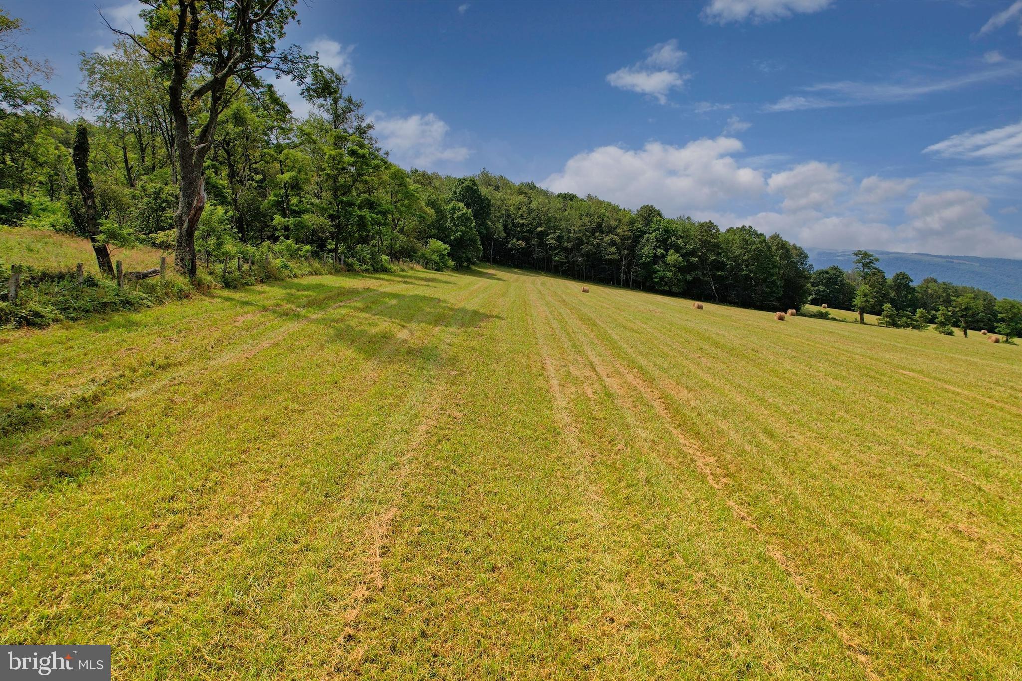 21205 Long Mountain Road Southwest Westernport, MD 21562 - Photo 29 of 142