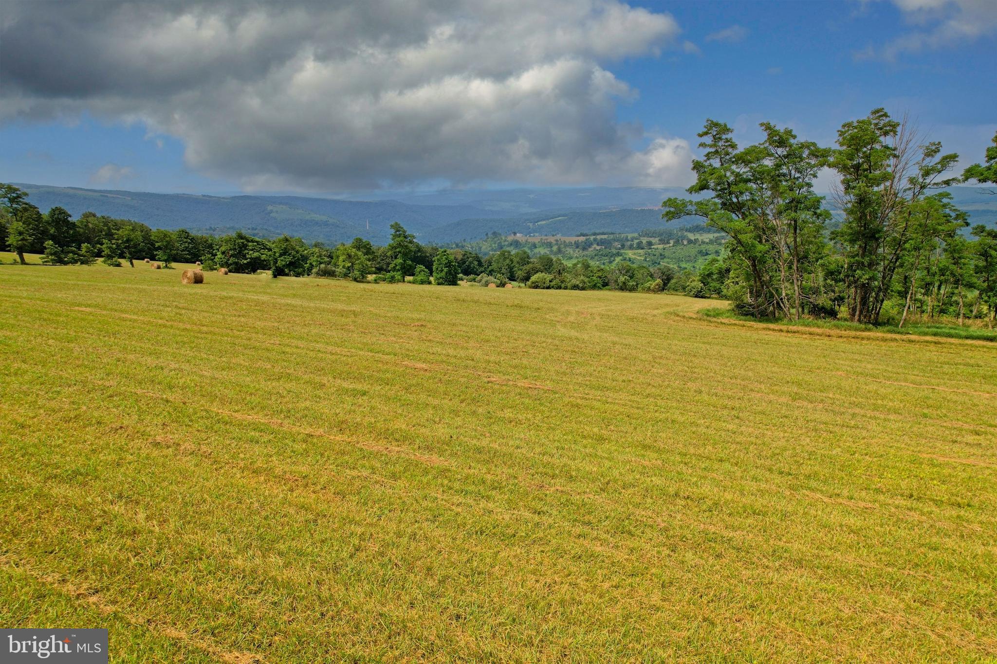 21205 Long Mountain Road Southwest Westernport, MD 21562 - Photo 30 of 142