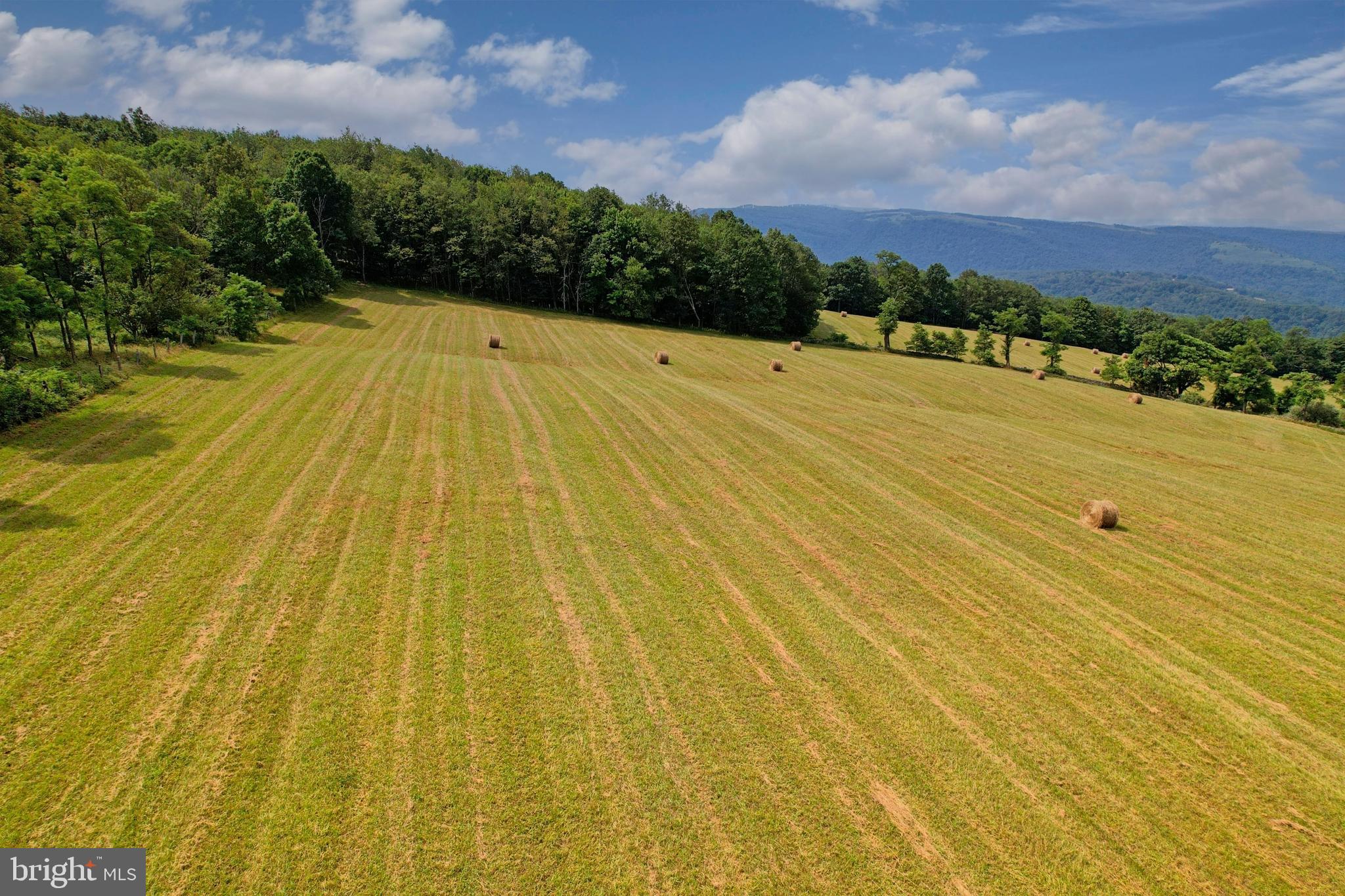 21205 Long Mountain Road Southwest Westernport, MD 21562 - Photo 31 of 142