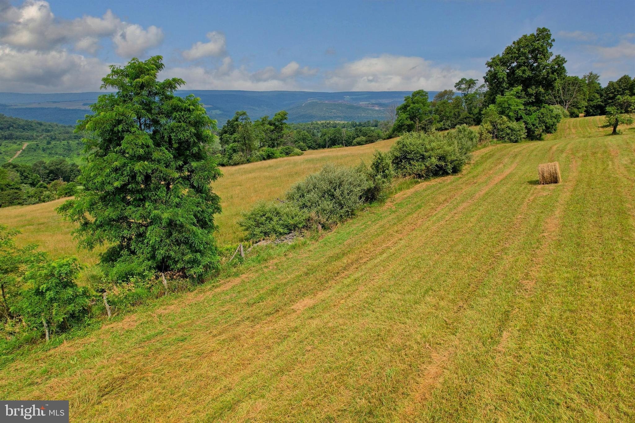 21205 Long Mountain Road Southwest Westernport, MD 21562 - Photo 33 of 142
