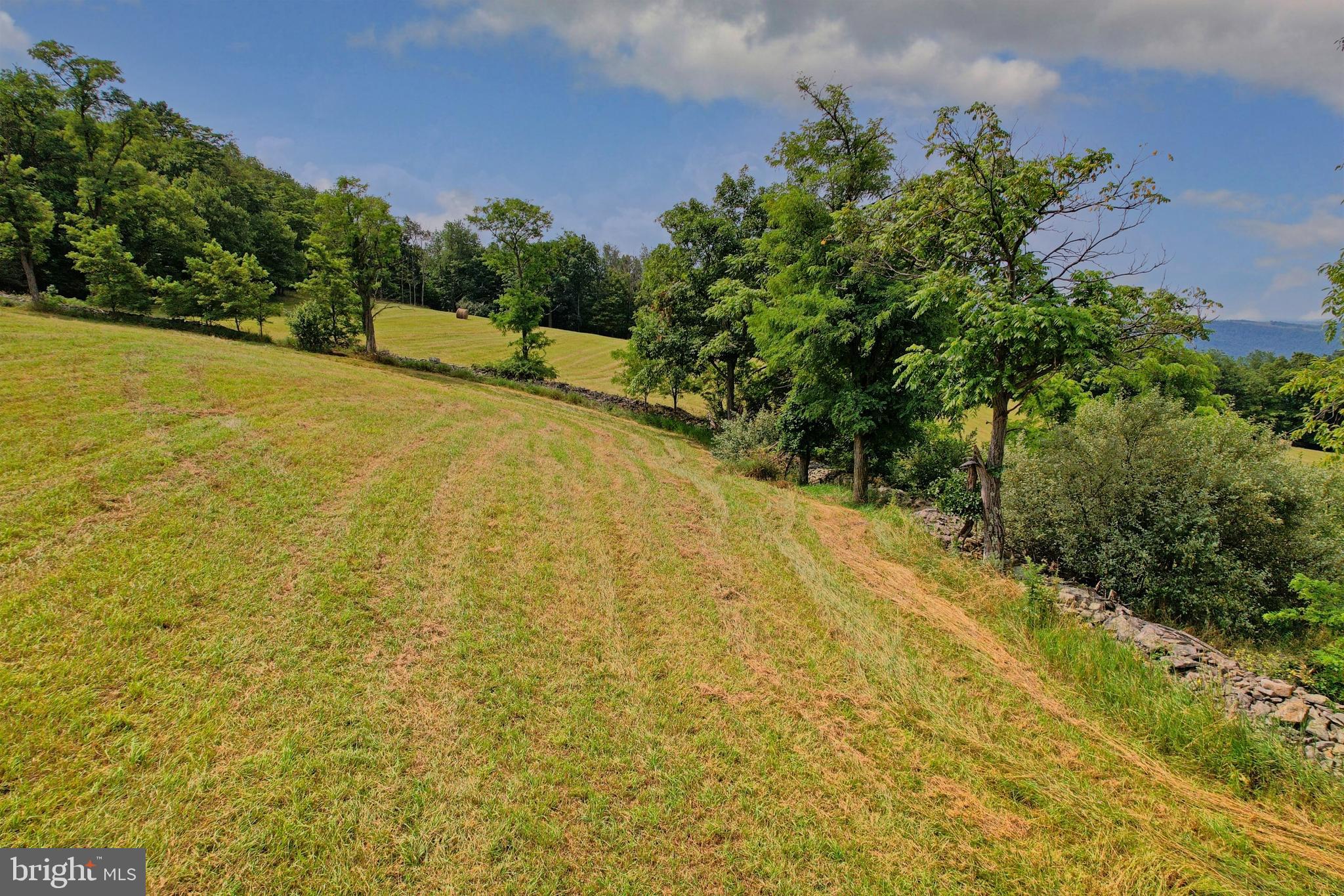 21205 Long Mountain Road Southwest Westernport, MD 21562 - Photo 35 of 142