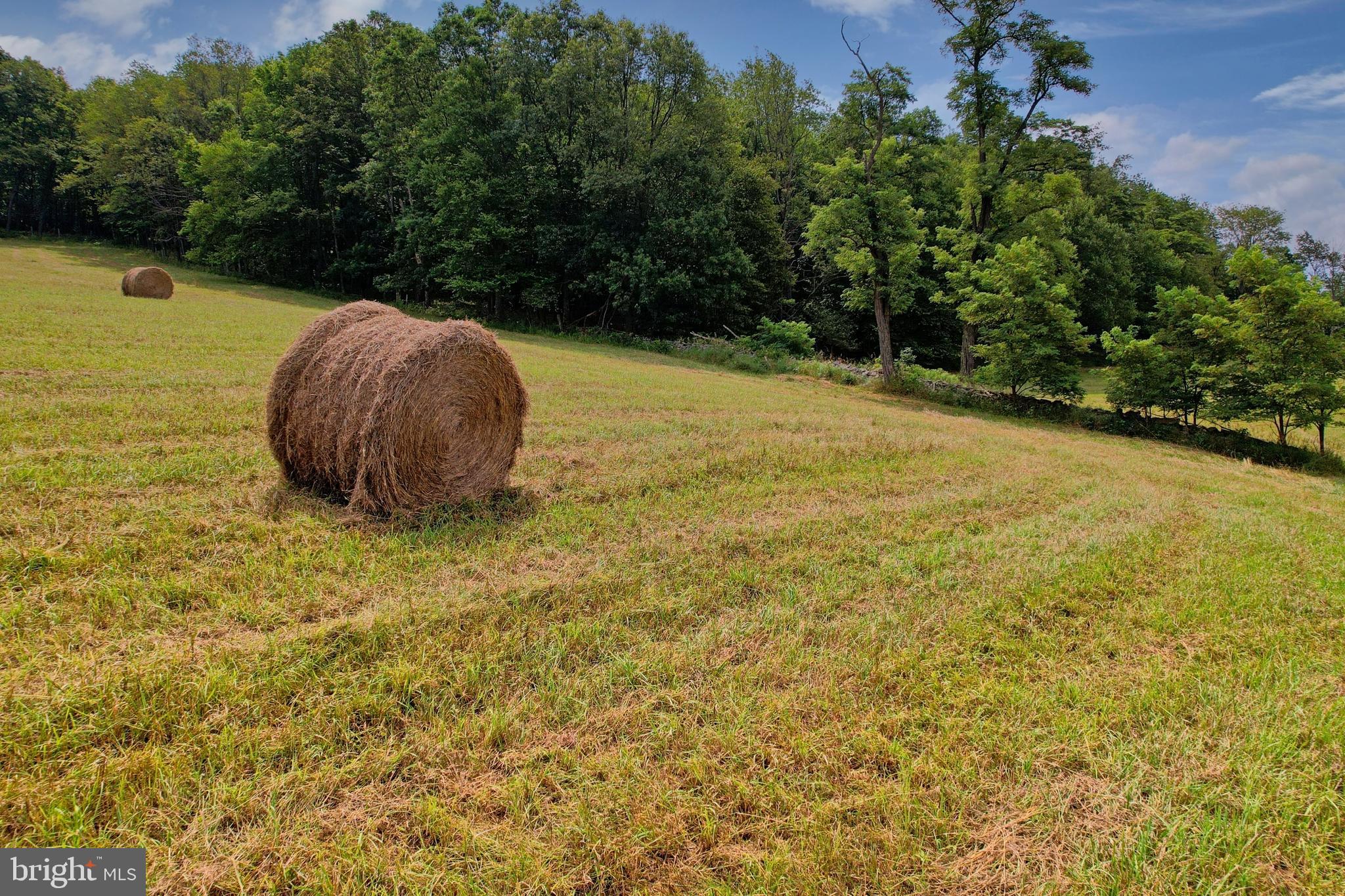21205 Long Mountain Road Southwest Westernport, MD 21562 - Photo 37 of 142