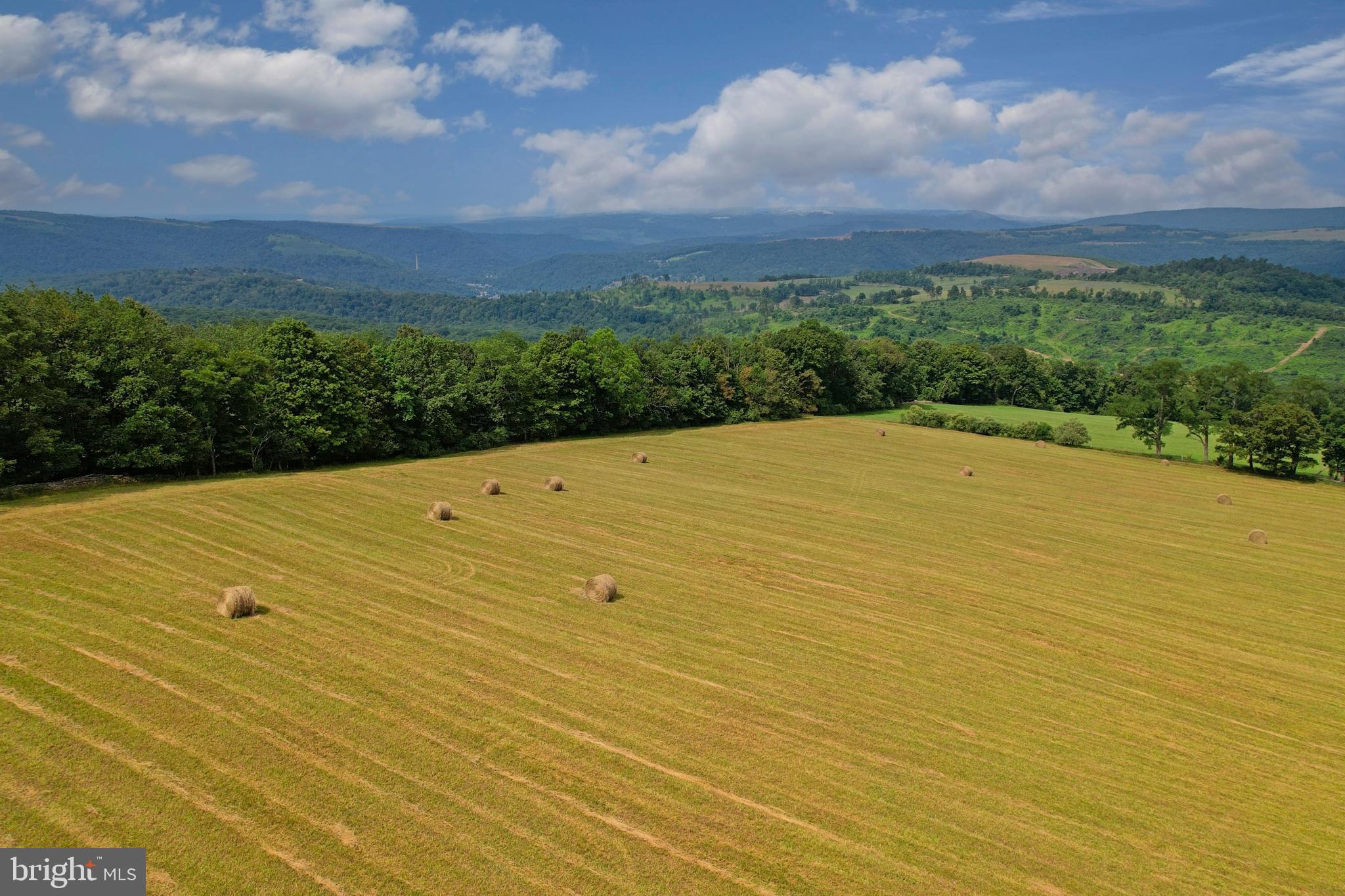 21205 Long Mountain Road Southwest Westernport, MD 21562 - Photo 38 of 142