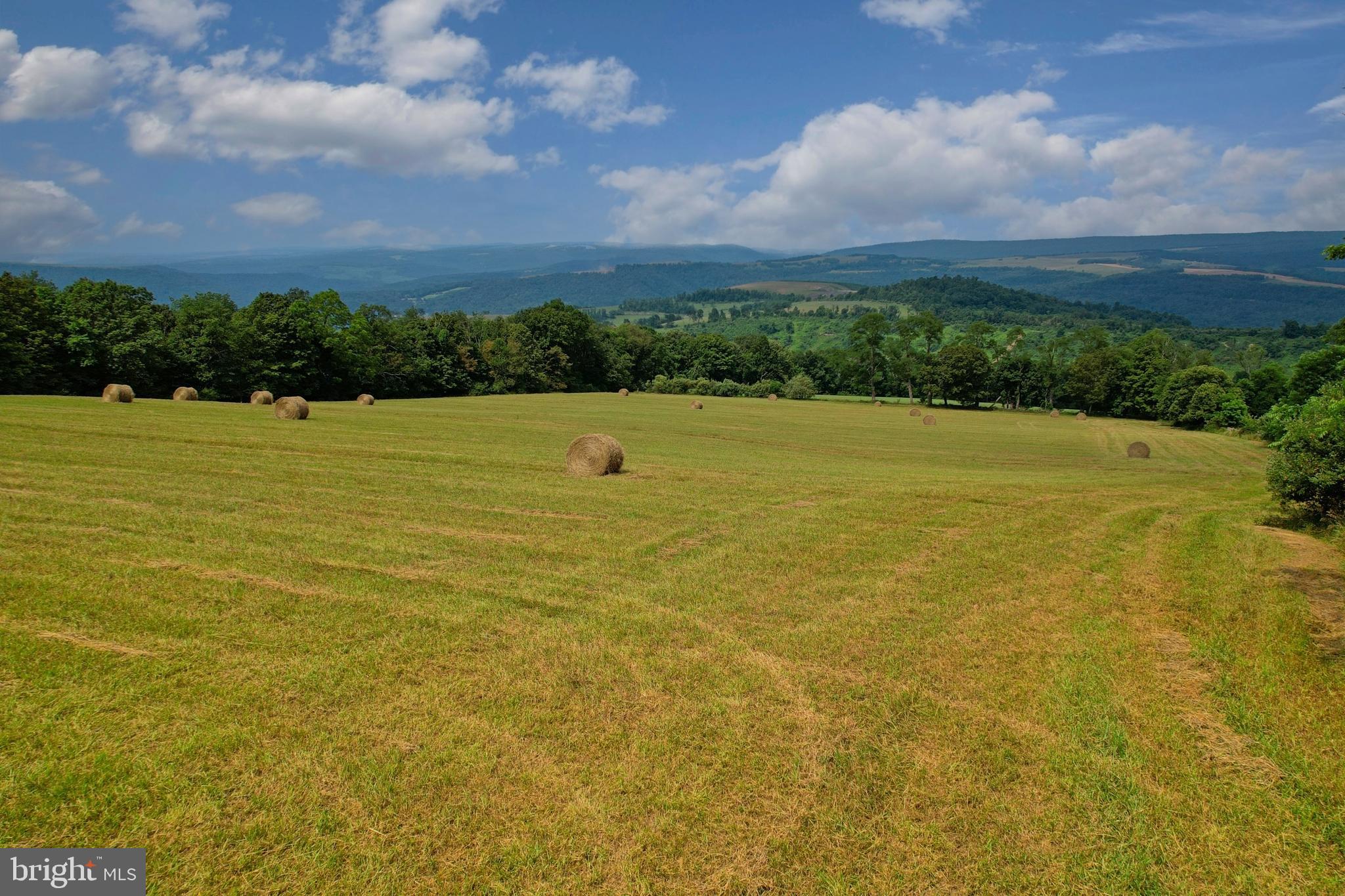 21205 Long Mountain Road Southwest Westernport, MD 21562 - Photo 39 of 142