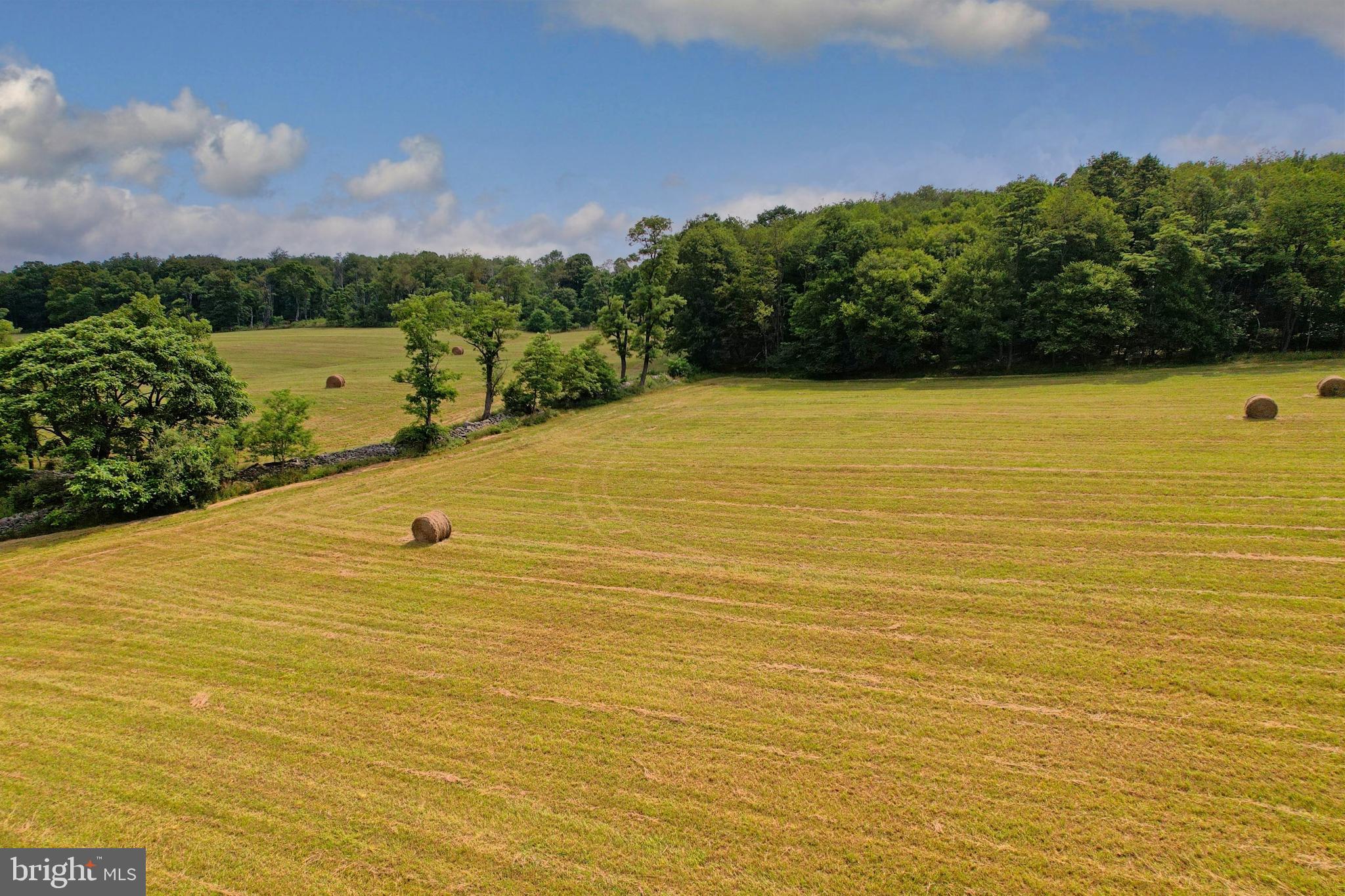 21205 Long Mountain Road Southwest Westernport, MD 21562 - Photo 40 of 142
