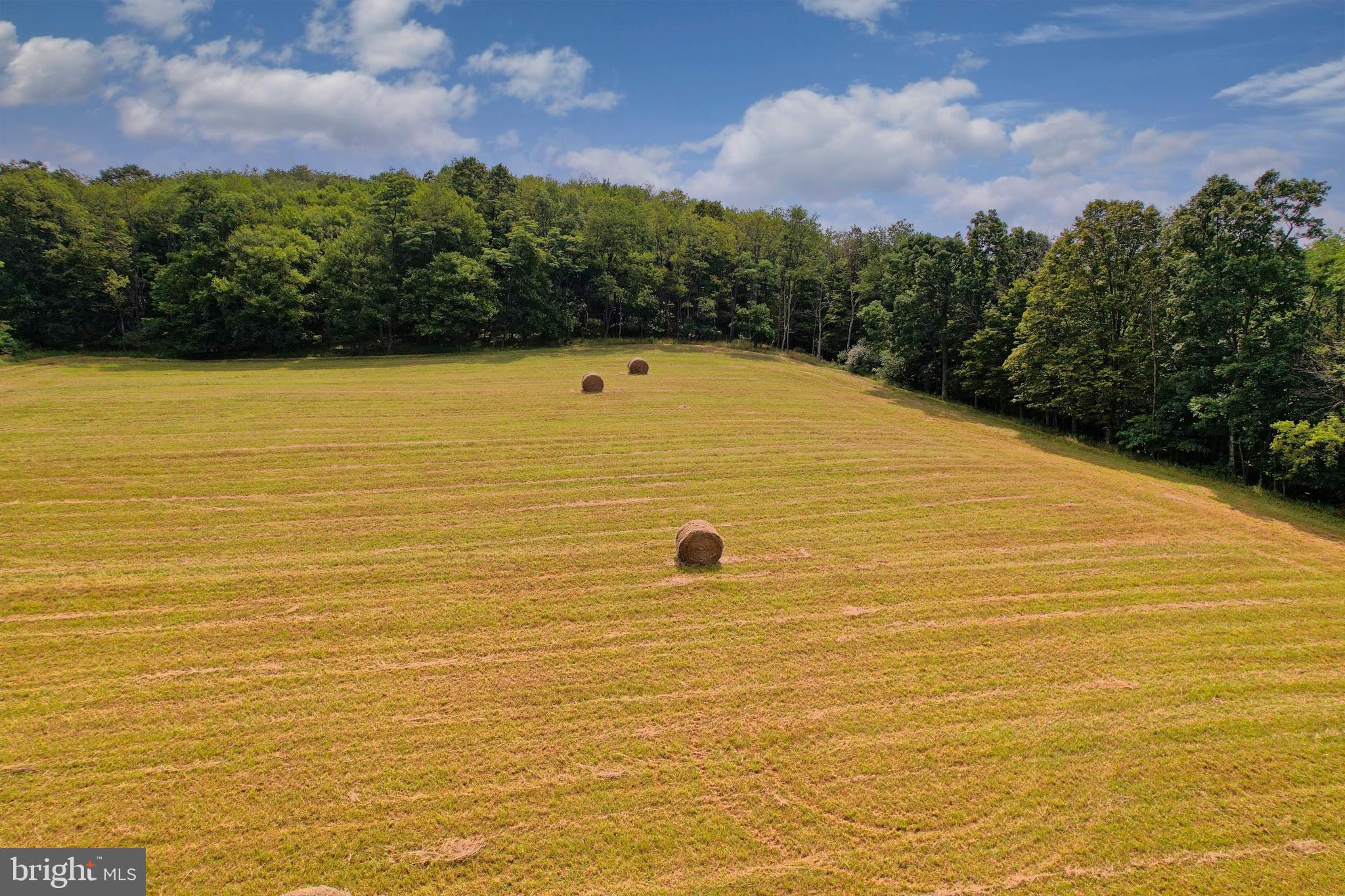 21205 Long Mountain Road Southwest Westernport, MD 21562 - Photo 41 of 142