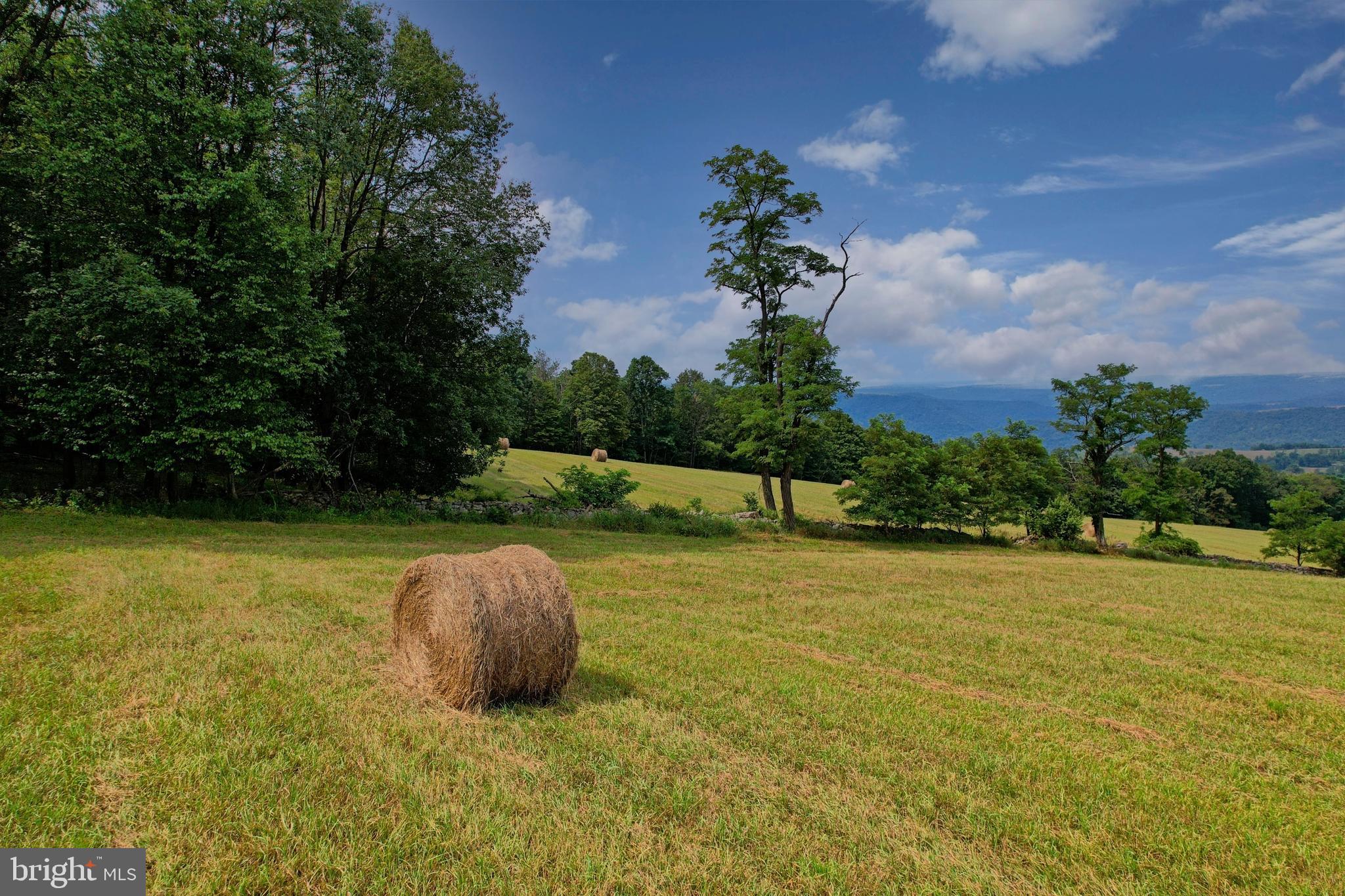21205 Long Mountain Road Southwest Westernport, MD 21562 - Photo 42 of 142