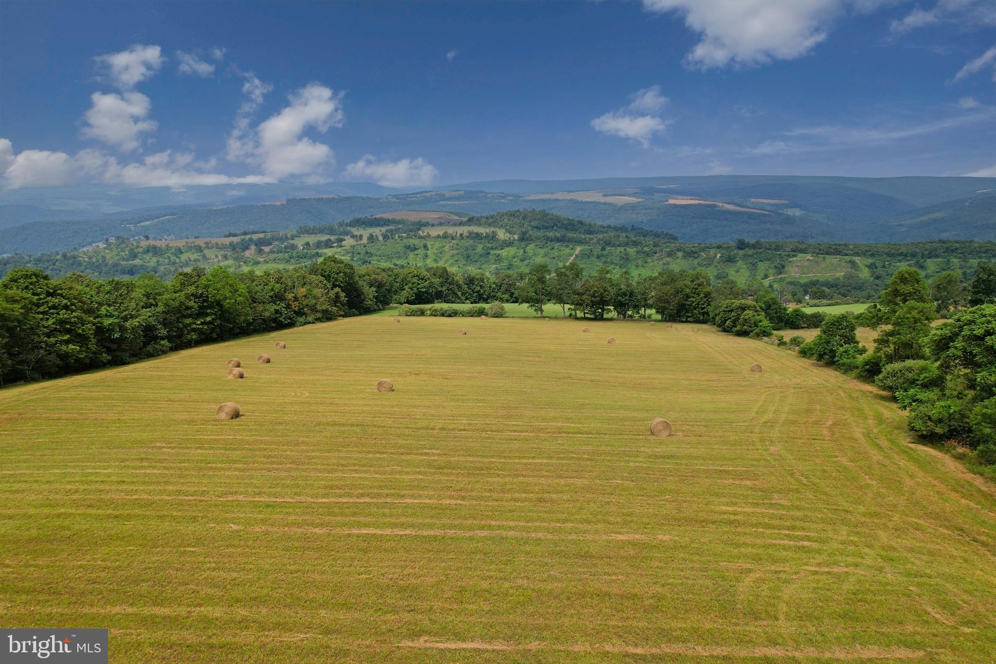 21205 Long Mountain Road Southwest Westernport, MD 21562 - Photo 43 of 142