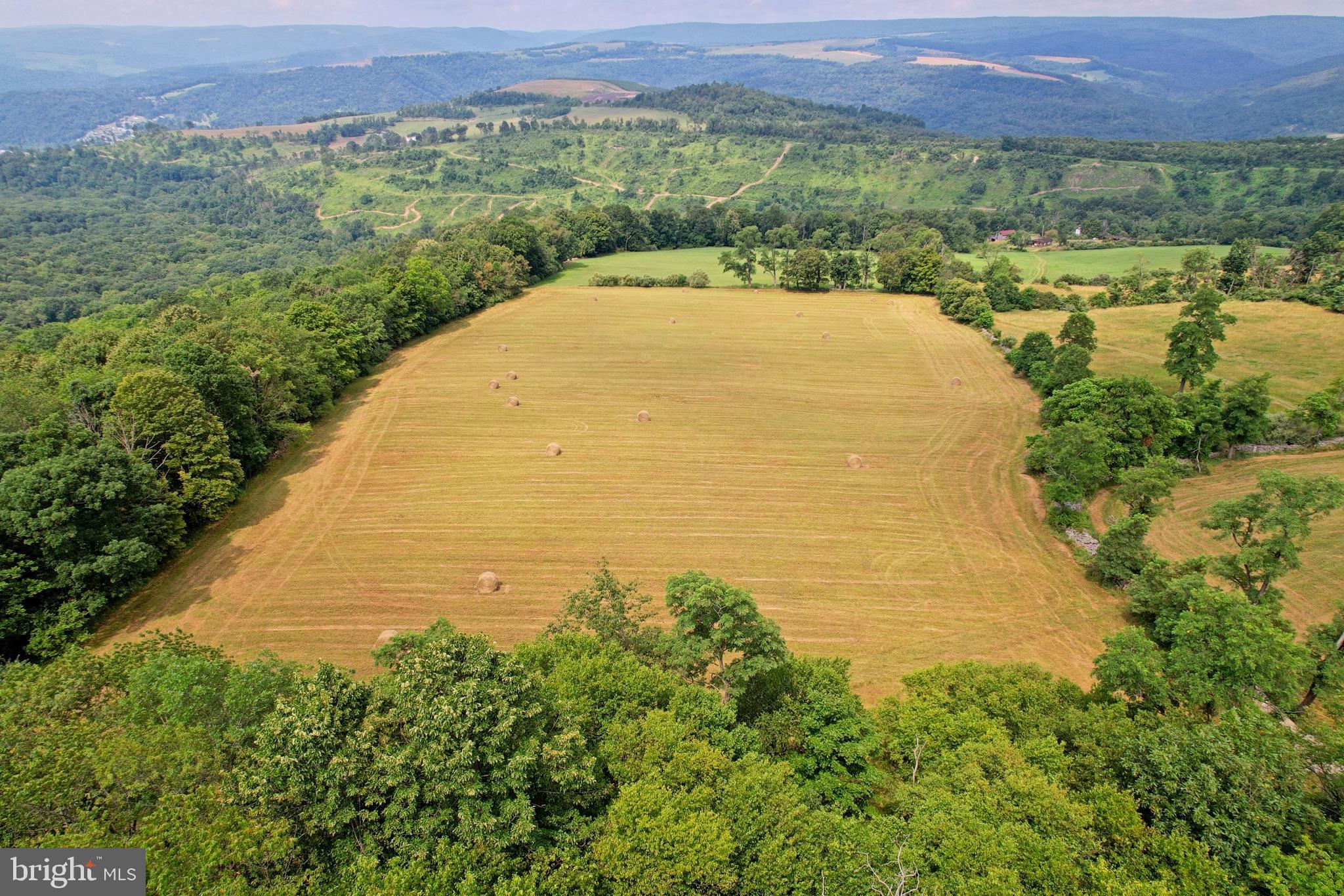 21205 Long Mountain Road Southwest Westernport, MD 21562 - Photo 44 of 142