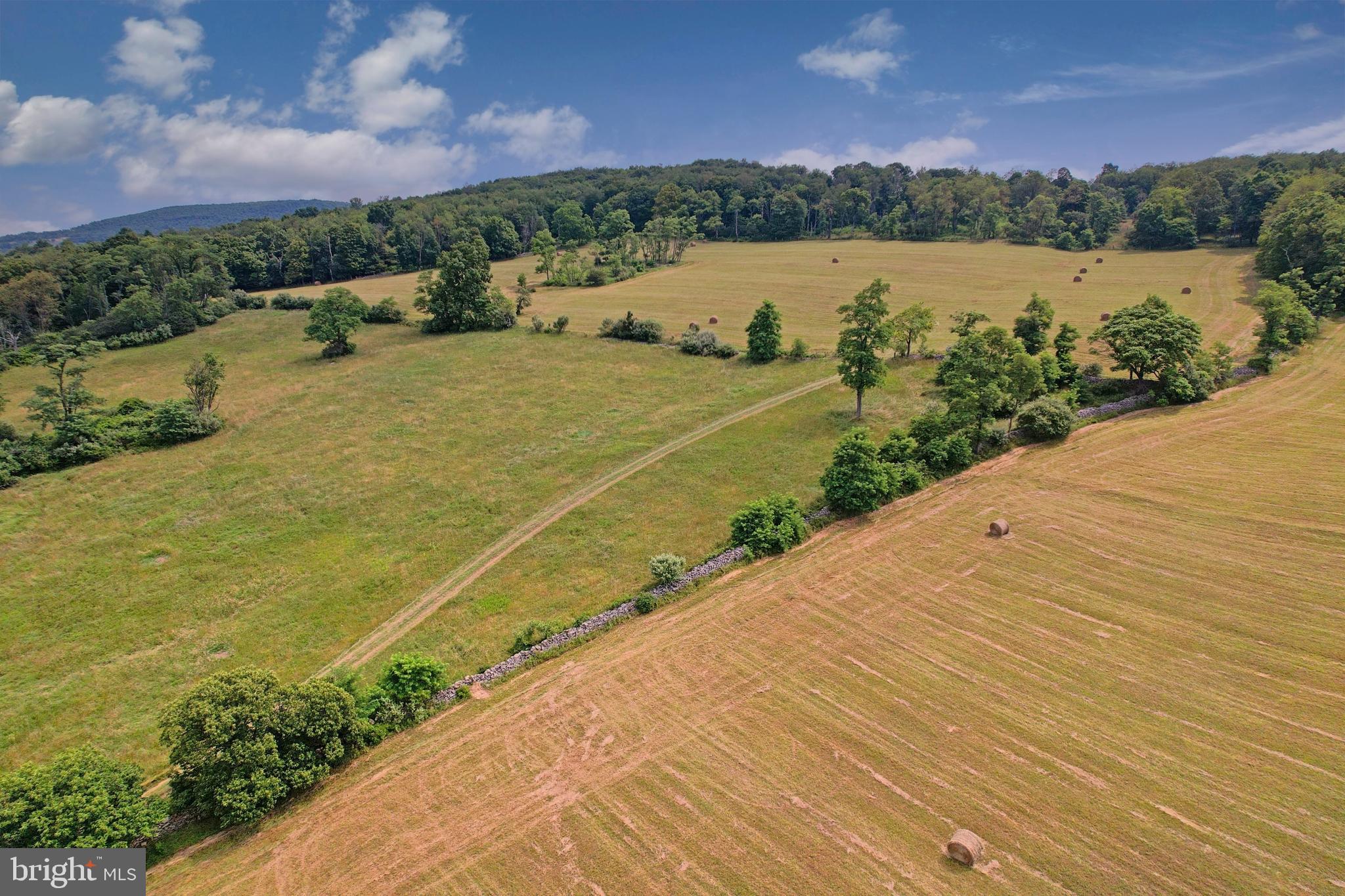 21205 Long Mountain Road Southwest Westernport, MD 21562 - Photo 46 of 142