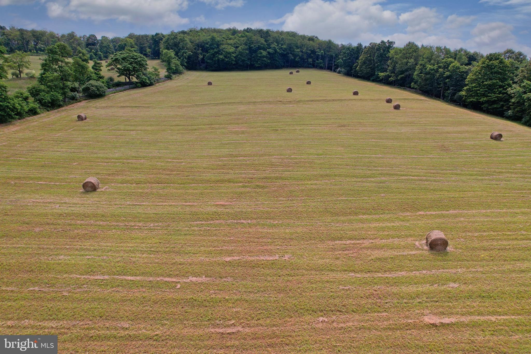 21205 Long Mountain Road Southwest Westernport, MD 21562 - Photo 47 of 142