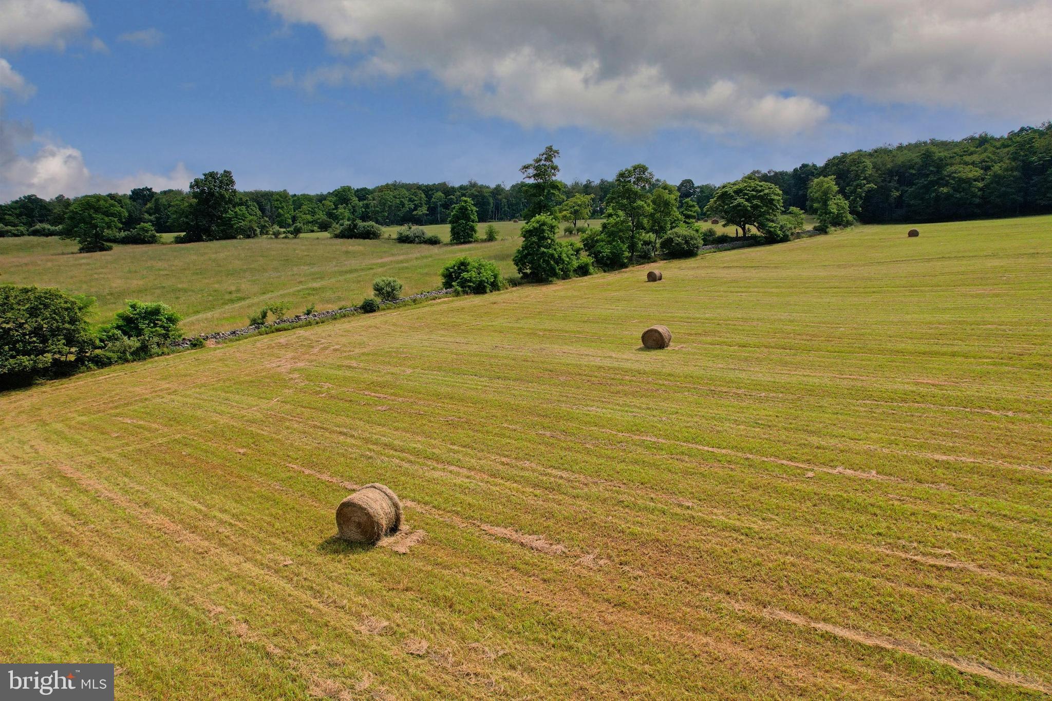 21205 Long Mountain Road Southwest Westernport, MD 21562 - Photo 48 of 142