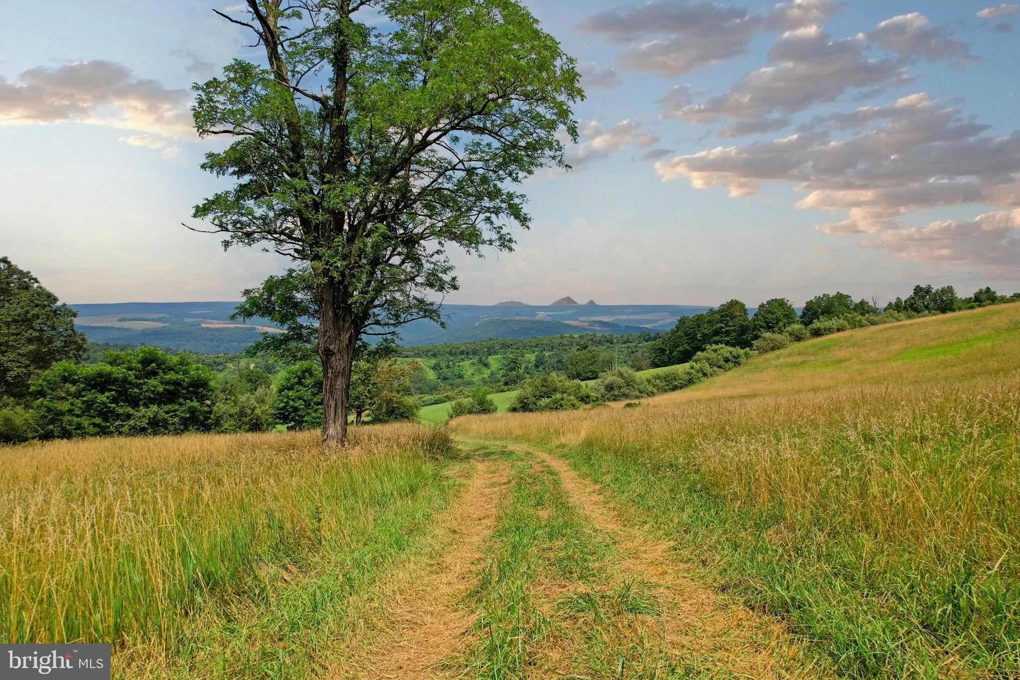 21205 Long Mountain Road Southwest Westernport, MD 21562 - Photo 49 of 142