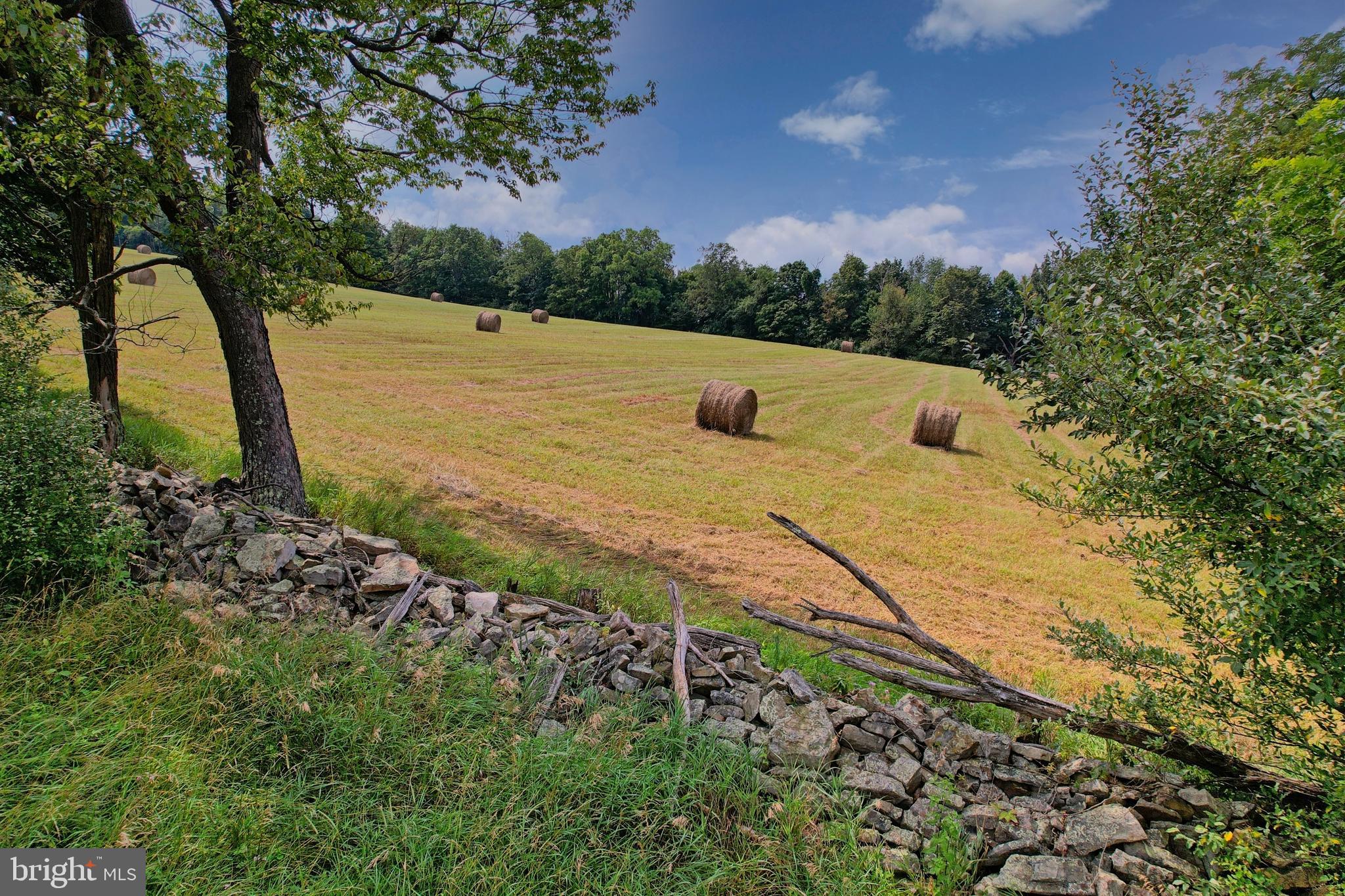21205 Long Mountain Road Southwest Westernport, MD 21562 - Photo 50 of 142