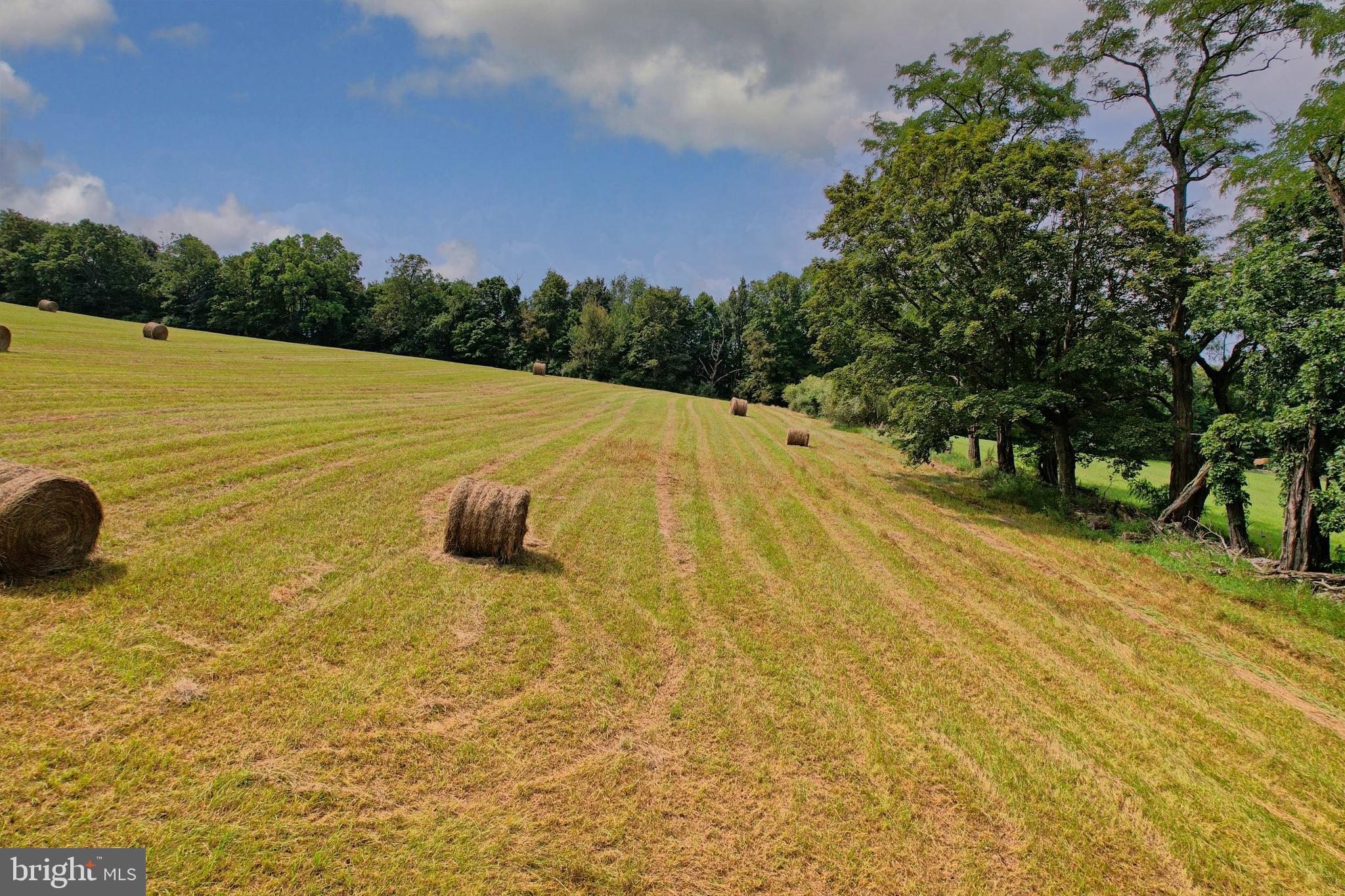21205 Long Mountain Road Southwest Westernport, MD 21562 - Photo 52 of 142