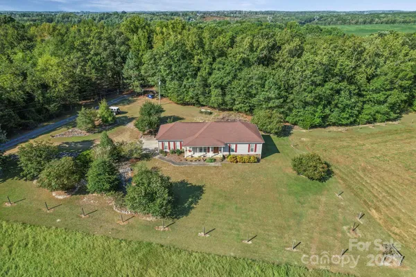a view of a garden with an outdoor space