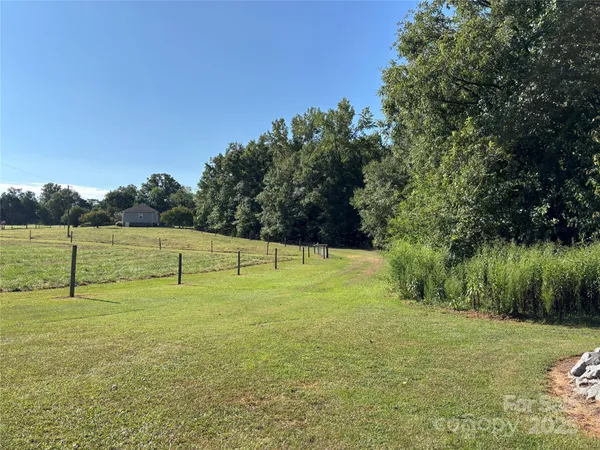 a view of a field with a tree