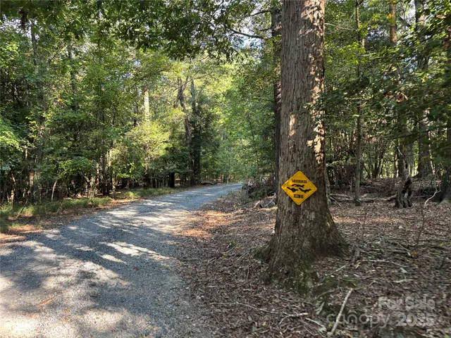 a view of a tree in a yard