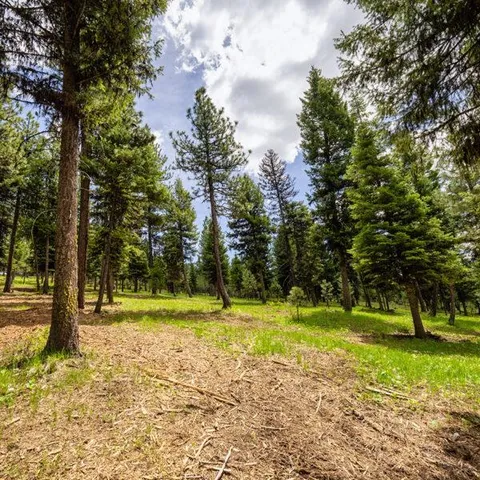$850,000 | Lot 11 To Be Determined, Unit 11, McCall, ID 83638