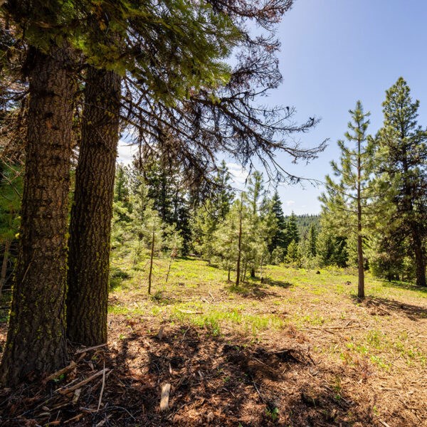 Lot 11 To Be Determined, Unit 11 McCall, ID 83638 - Photo 2 of 2