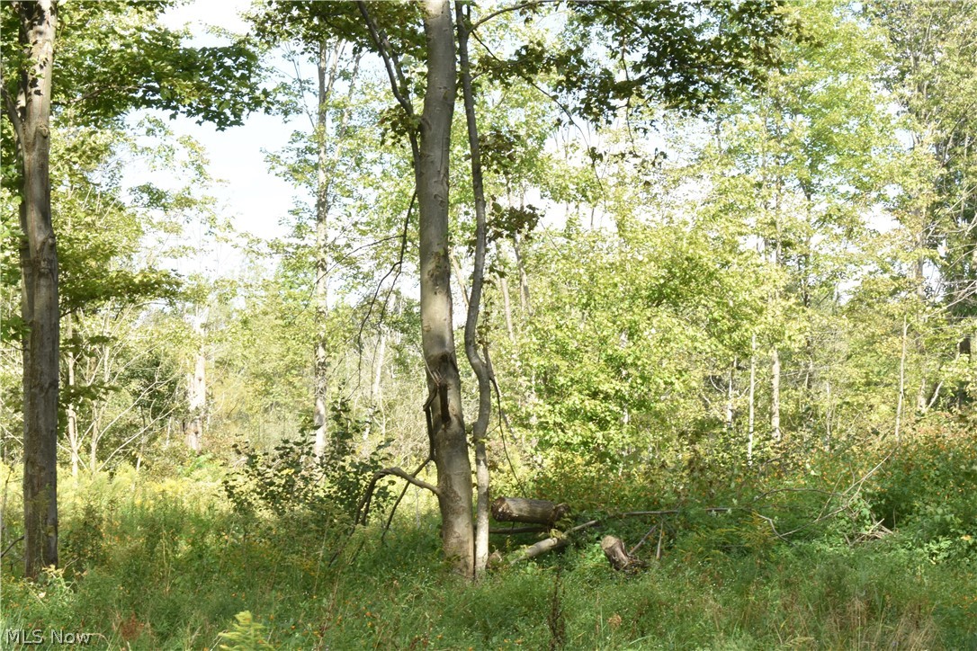South Lake Road Williamsfield, OH 44093 - Photo 13 of 14 Gallery Image 13