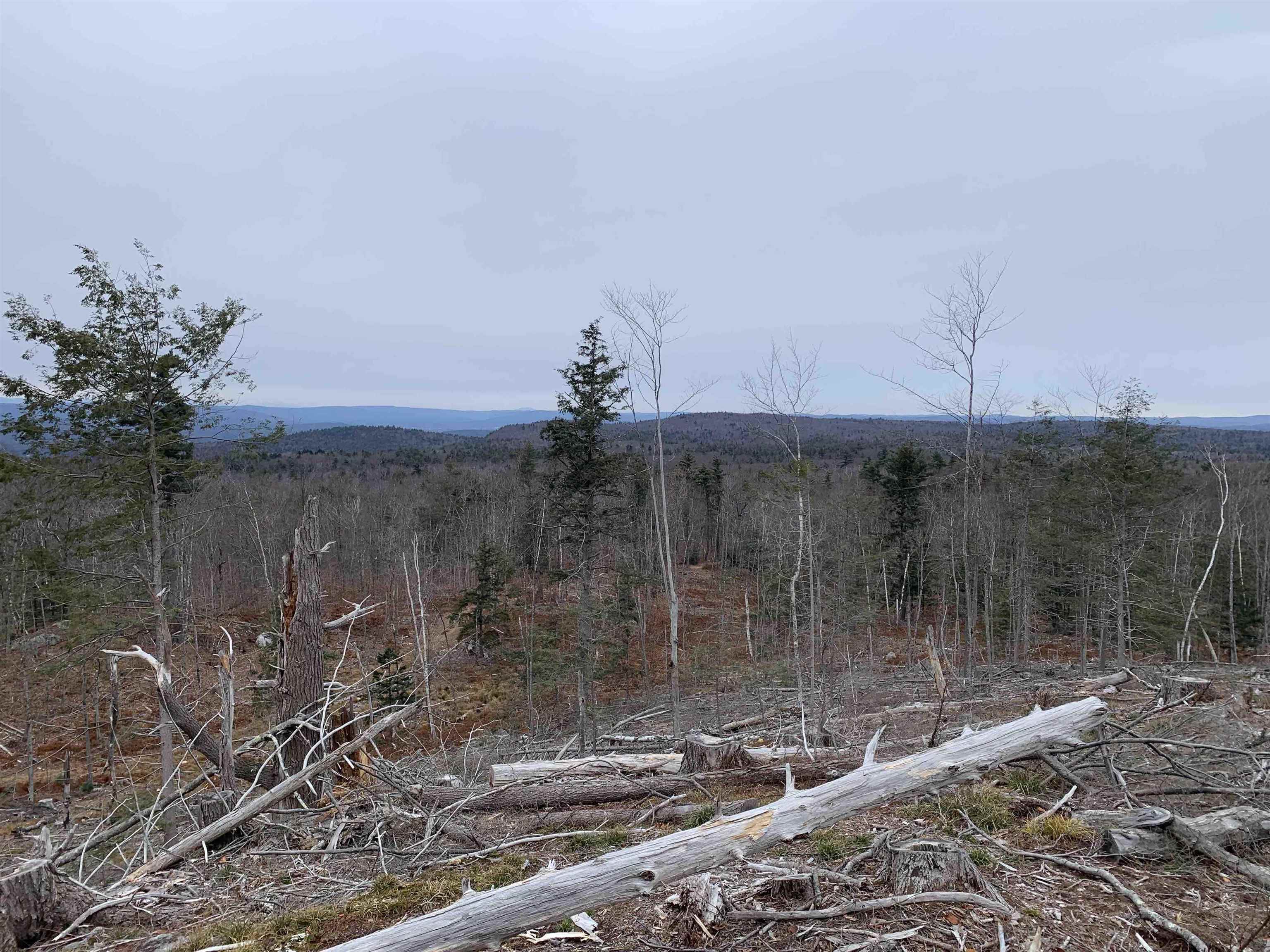 8 Dean Farm Road Richmond, NH 03470 - Photo 25 of 38 Gallery Image 25