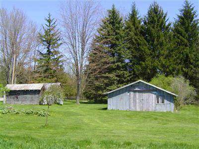 8720 South Raucholz Road St. Charles, MI 48655 - Photo 5 of 15 20197808-4.JPG