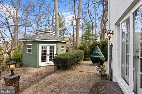 a view of yard with tree