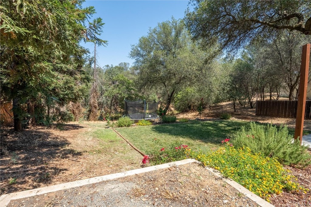 89 Glen Cir Drive Oroville, CA 95966 - Photo 27 of 32 a view of a yard with plants and trees