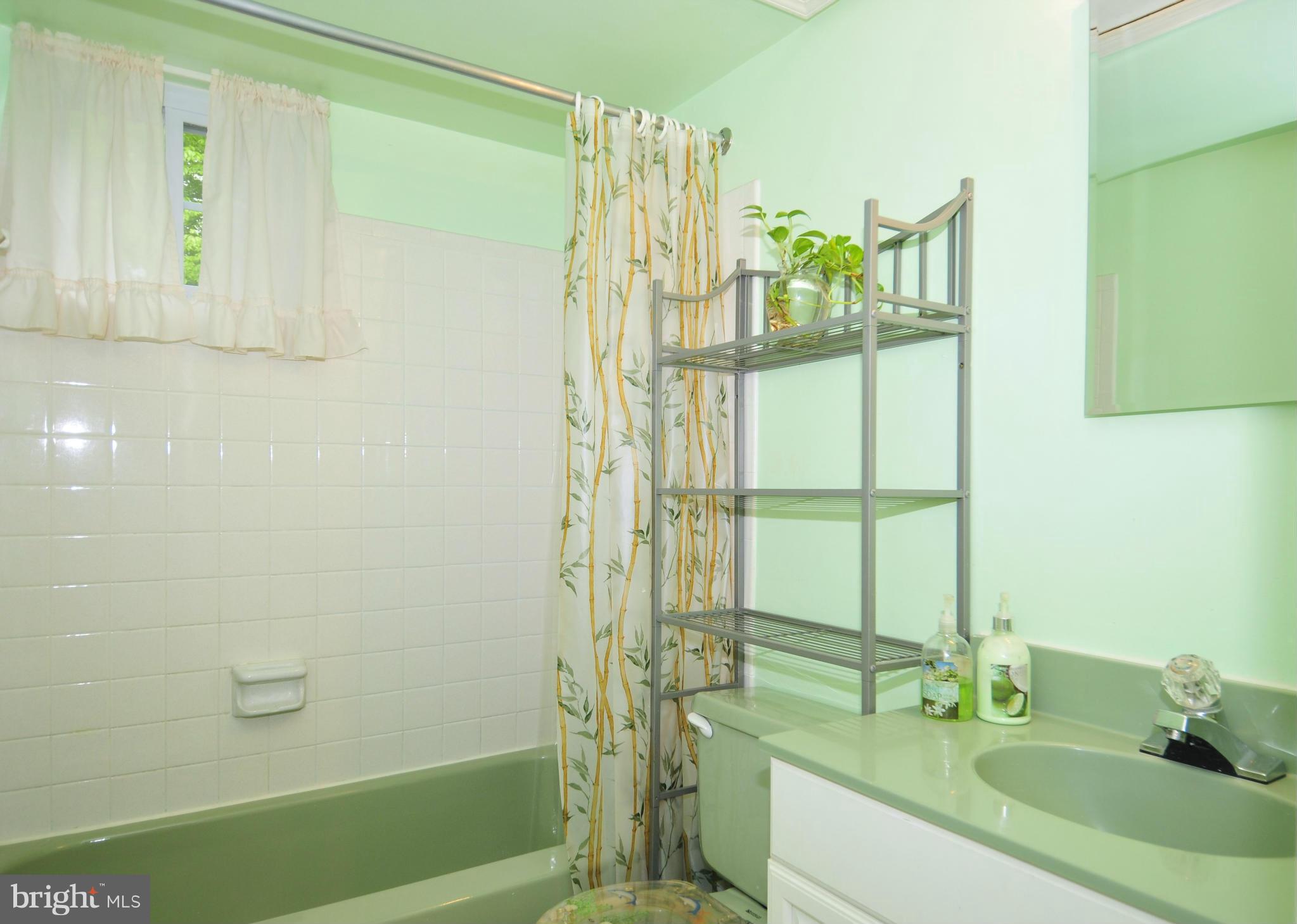 5356 Guinea Road Fairfax, VA 22032 - Photo 22 of 28 THIRD FULL BATH