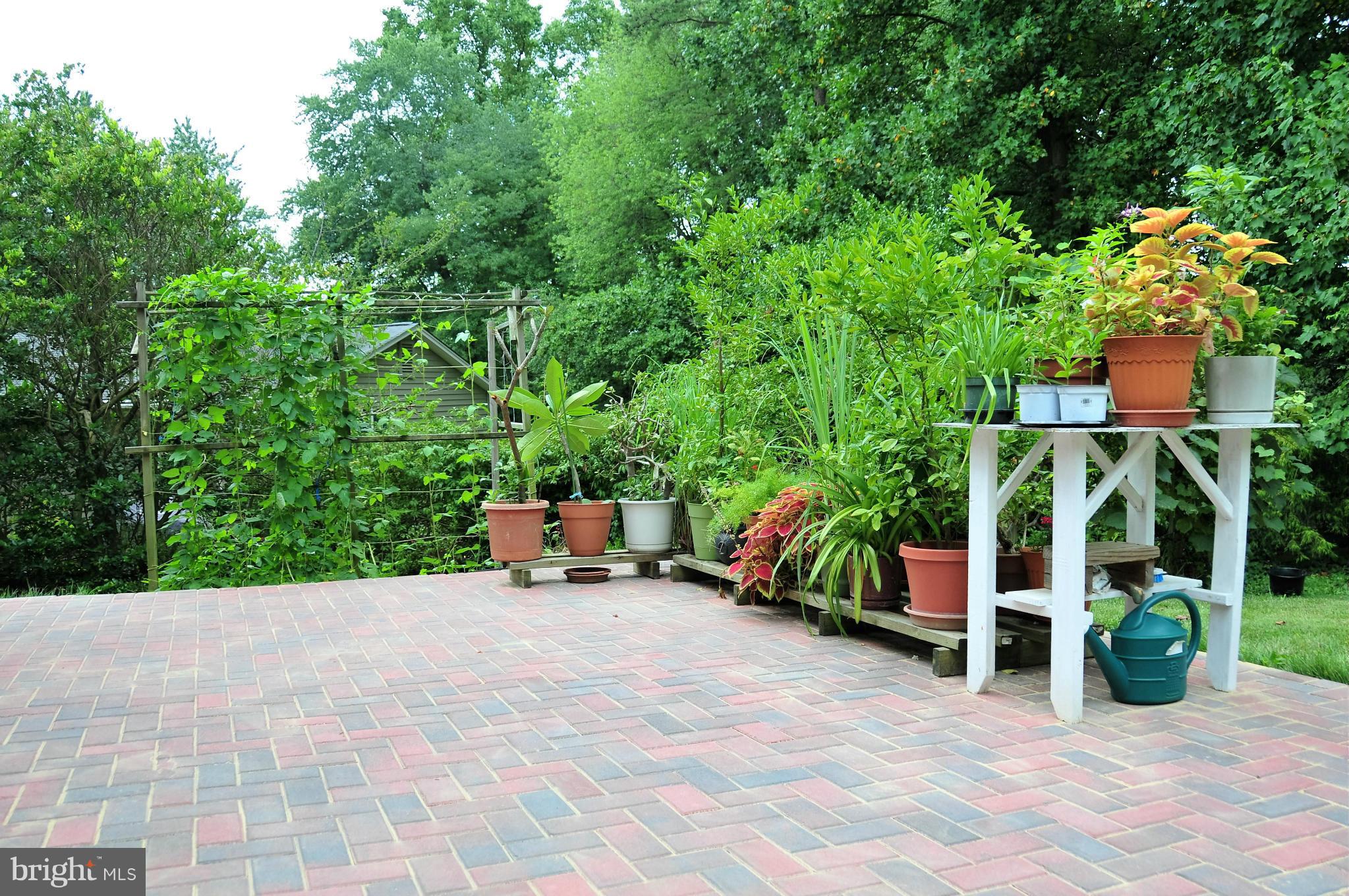 5356 Guinea Road Fairfax, VA 22032 - Photo 28 of 28 REAR BRICK PATIO