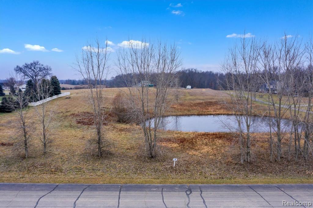 3 Bridgets Way Gregory, MI 48137 - Photo 3 of 3