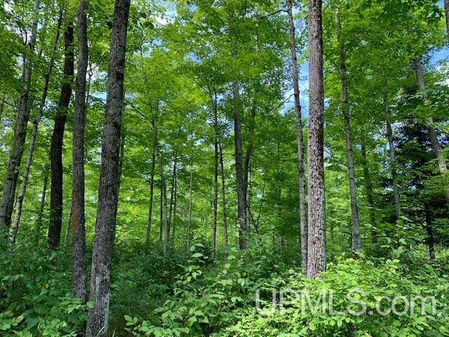 Tbd M69 Nadeau, MI 49863 - Photo 13 of 14