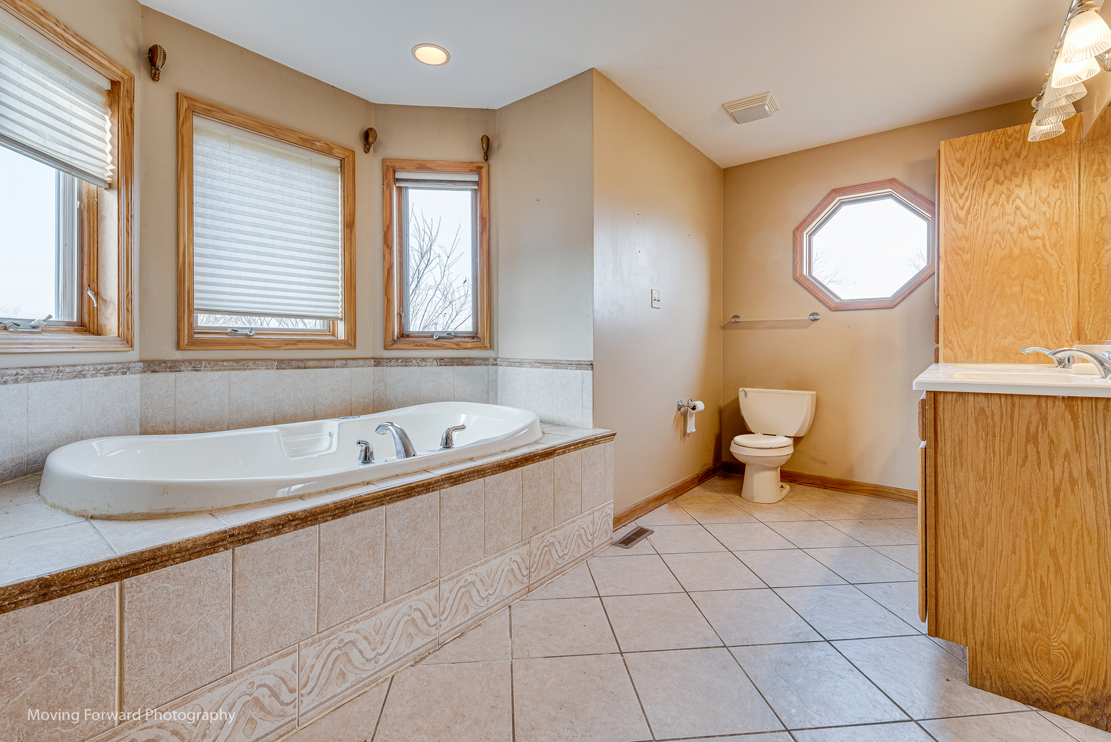 30416 South State Line Road Beecher, IL 60401 - Photo 29 of 39 a bathroom with a sink a toilet and a bathtub