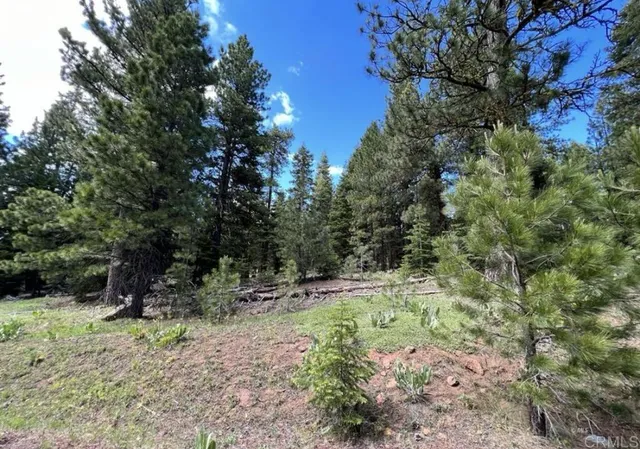 a big yard with lots of green space