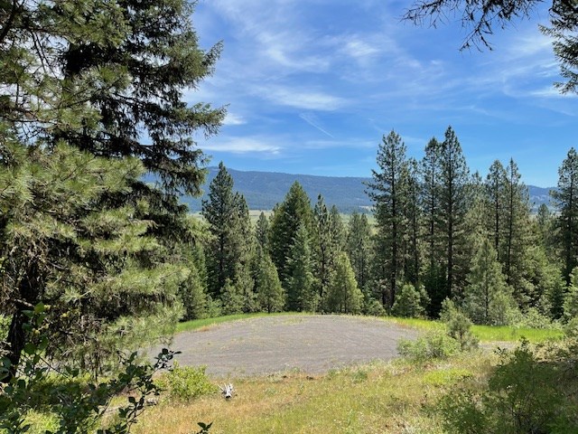 Lot 20 Little Salmon Road, Unit 20 New Meadows, ID 83654 - Photo 3 of 11