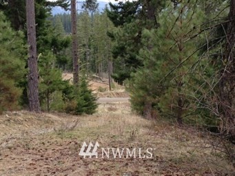 -lot B Lot B R & R Heights Road Roslyn, WA 98941 - Photo 3 of 7 Gallery Image 3