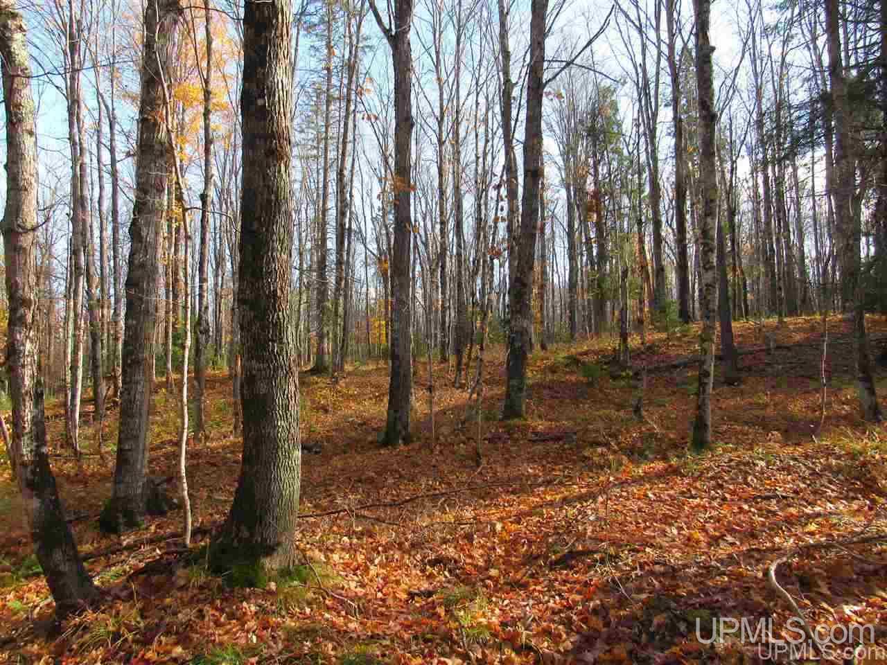 Lot 1 Sicotte Road Skanee, MI 49962 - Photo 10 of 23