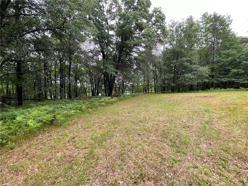 0 Loon Lake Road Spooner, WI 54801 - Photo 21 of 28