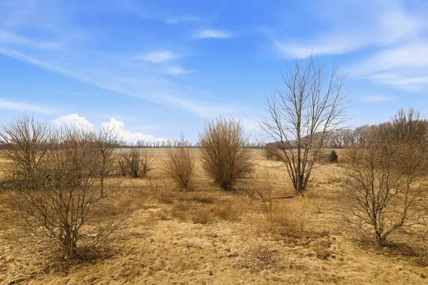 a view of backyard of a house
