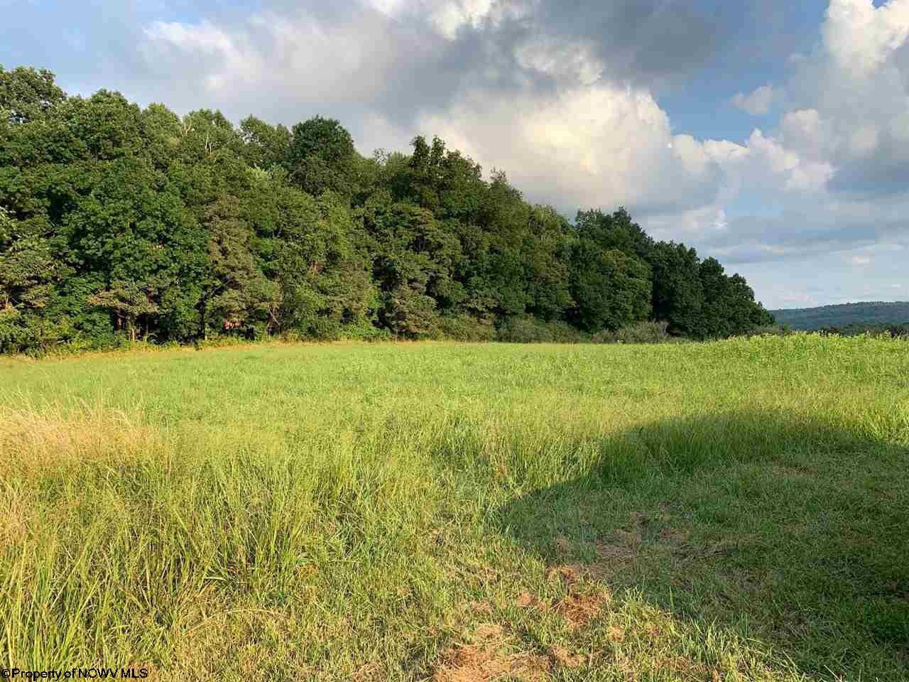 893 Buckhannon Road Philippi, WV 26416 - Photo 6 of 24 Gallery Image 6