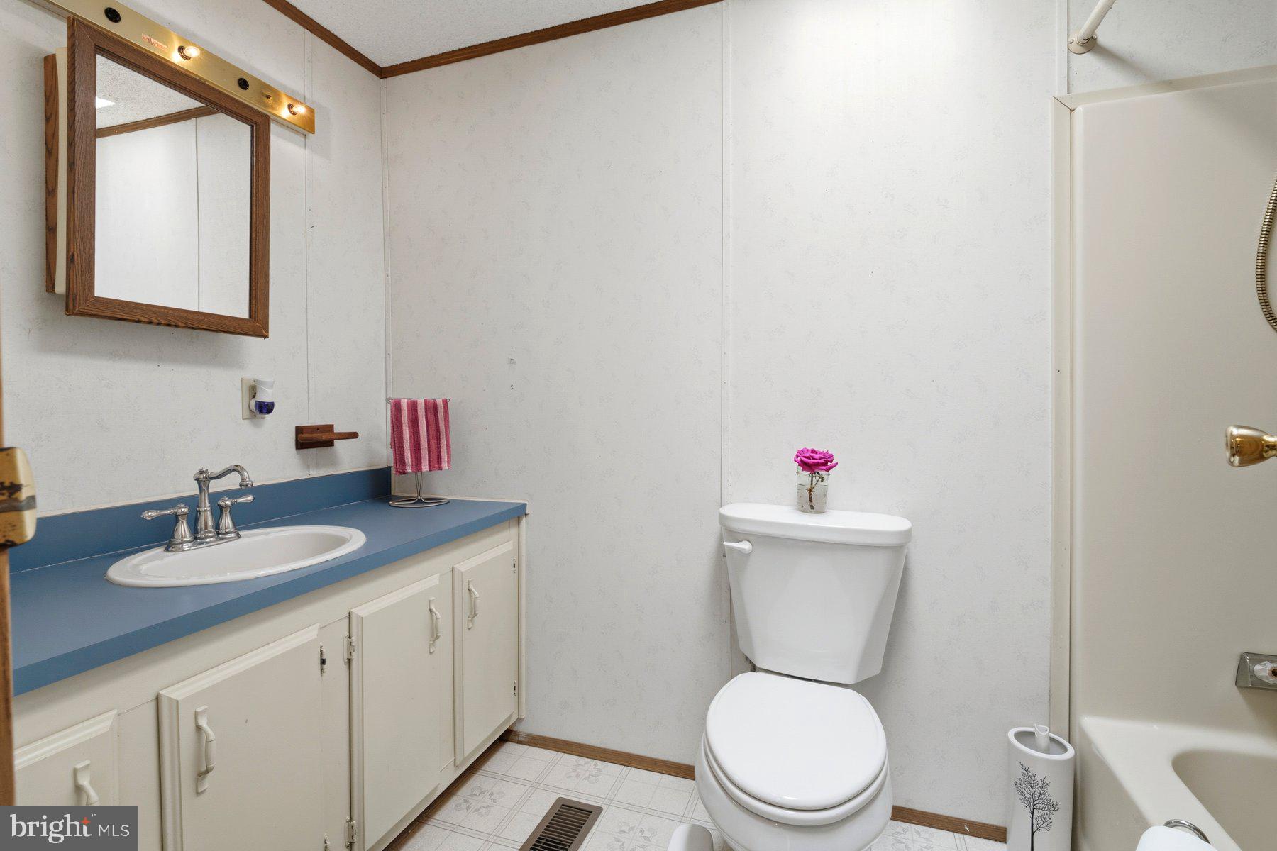 430 Clover Lane Hanover, PA 17331 - Photo 12 of 22 Full bath with tub